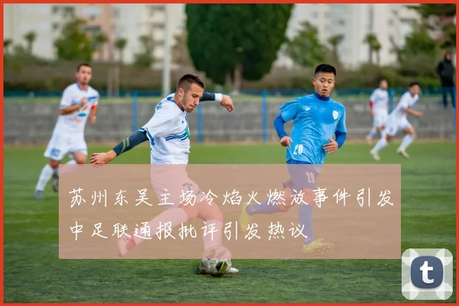 苏州东吴主场冷焰火燃放事件引发中足联通报批评引发热议