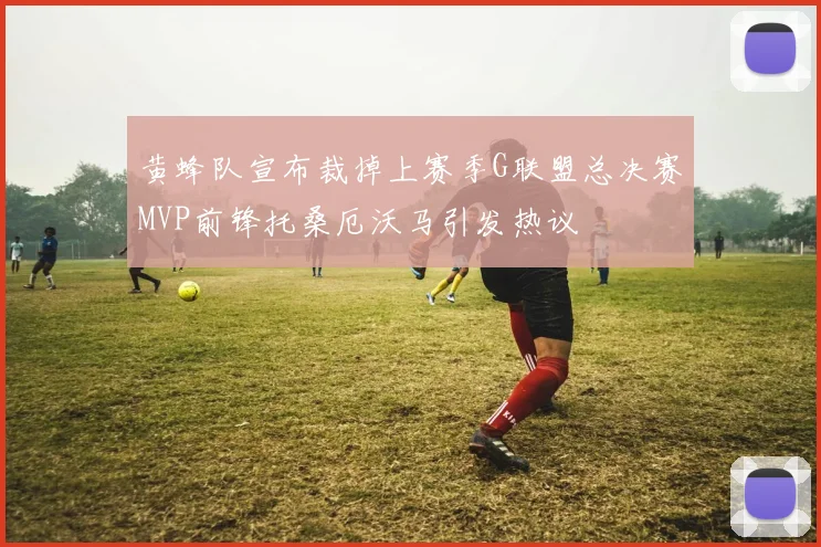 黄蜂队宣布裁掉上赛季G联盟总决赛MVP前锋托桑厄沃马引发热议
