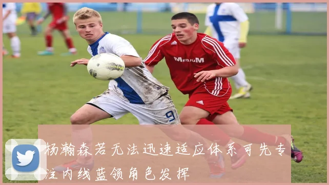 杨瀚森若无法迅速适应体系可先专注内线蓝领角色发挥